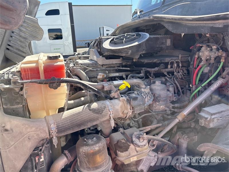 Freightliner Cascadia 125 Motrici e Trattori Stradali