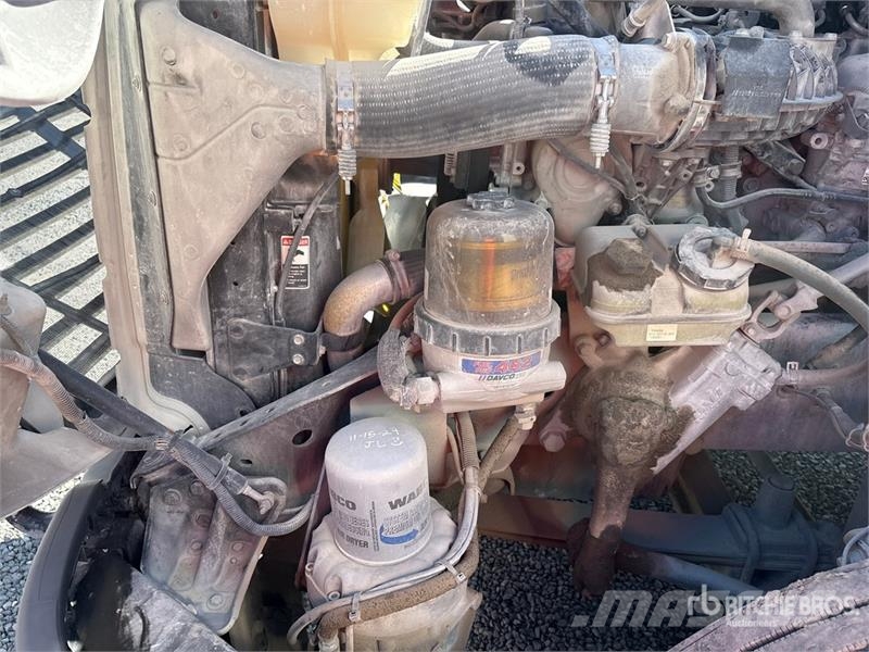 Freightliner Cascadia 125 Motrici e Trattori Stradali