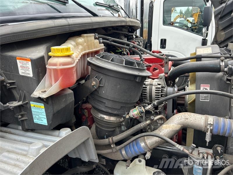 Freightliner M2 106 Kühlkoffer