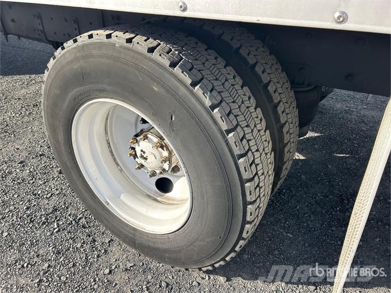 Freightliner M2 4x2 Refrigerated Truck Külmikautod