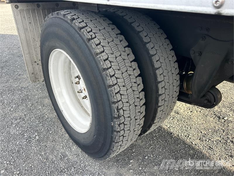 Freightliner M2 4x2 Refrigerated Truck Külmikautod