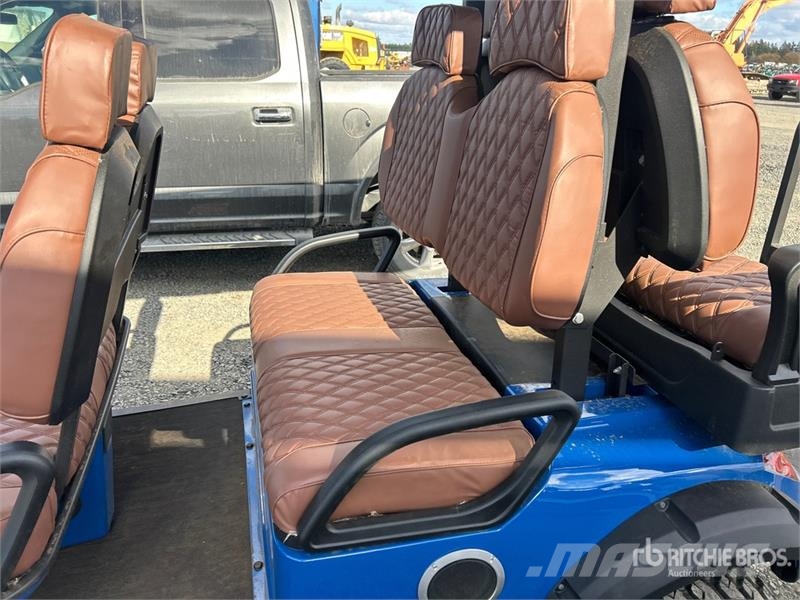 GC42S Electric Golf Cart 高爾夫球車