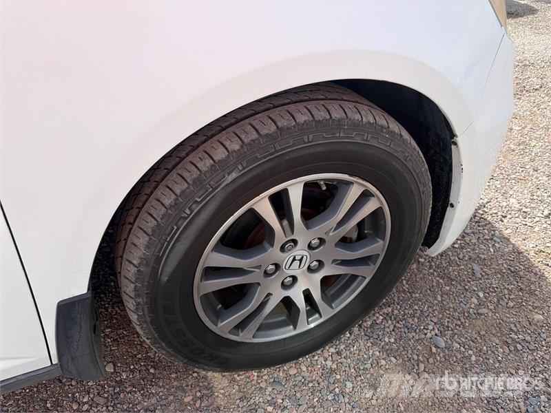 Honda Odyssey سيارات