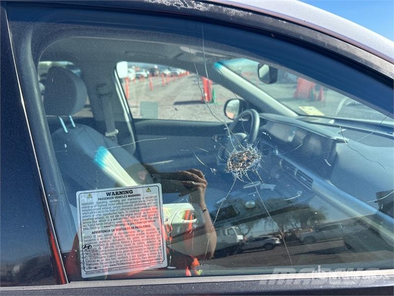 Hyundai Nexo 2WD SUV (Inoperable) Voiture