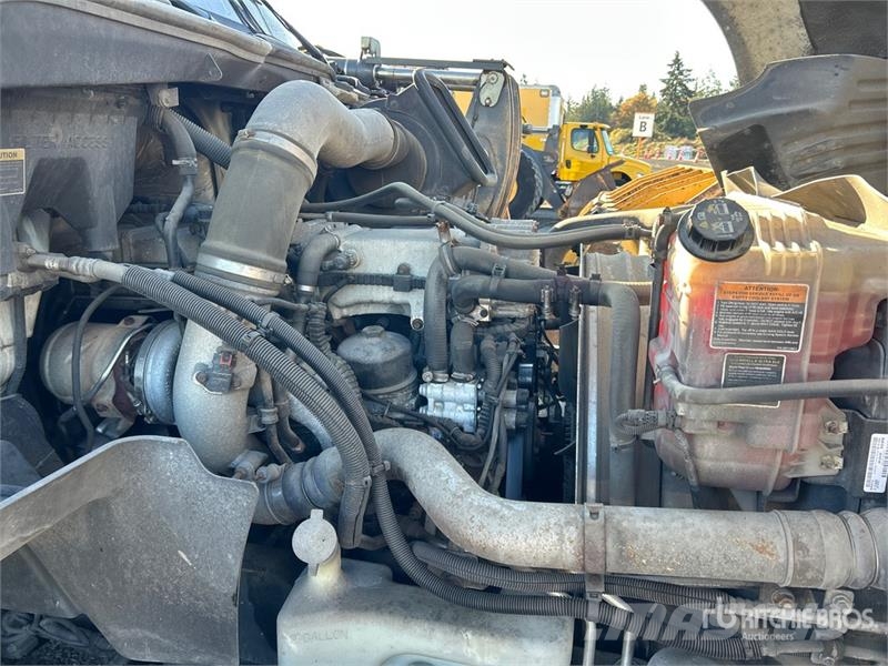 International ProStar Premium Vilcēji