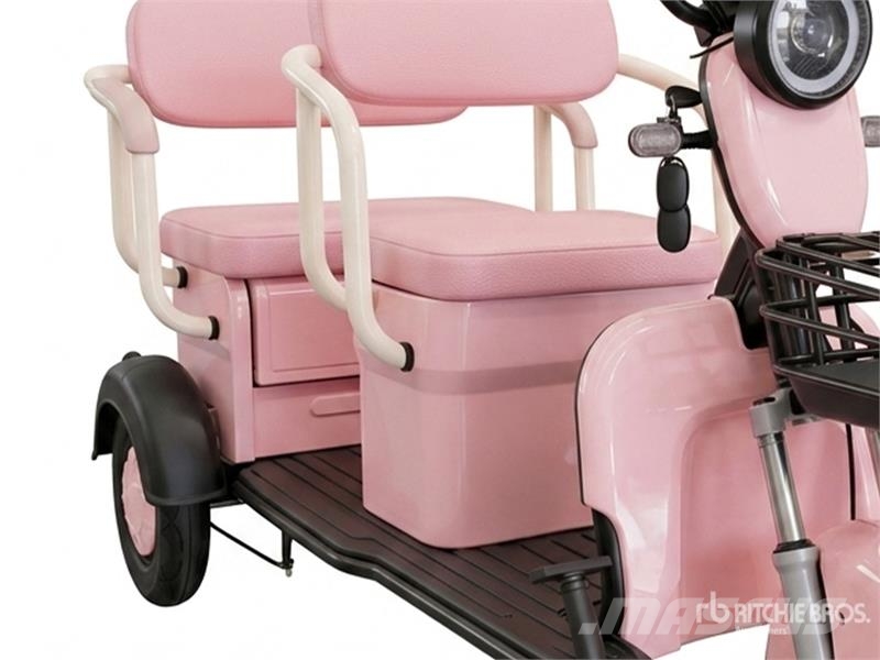  MGC40-PINK 3 TT E-Trike Mini Scooter (Unused) Visureigiai