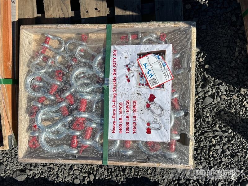 Quantity of (30) Heavy-Duty D-Ring Shackle (Unused أجزاء ومعدات رافعات
