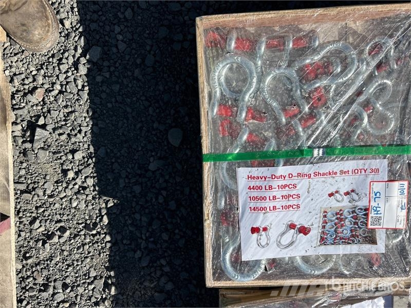 Quantity of (30) Heavy-Duty D-Ring Shackle (Unused أجزاء ومعدات رافعات