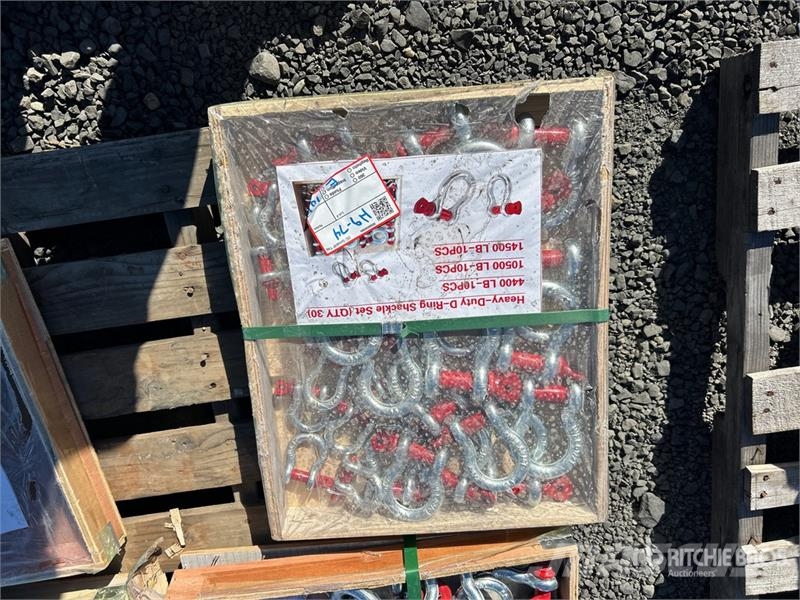 Quantity of (30) Heavy-Duty D-Ring Shackle (Unused أجزاء ومعدات رافعات