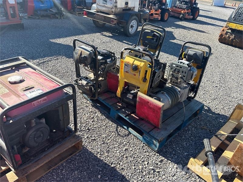 Quantity of (4) Jumping Jack Tamper Täryvasarat