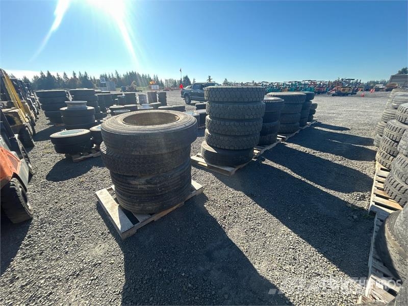  Quantity of (6) Pallets of Tires Riepas, riteņi un diski