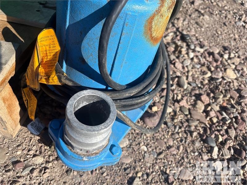  Quantity of (6) Water Pump Bombas de água