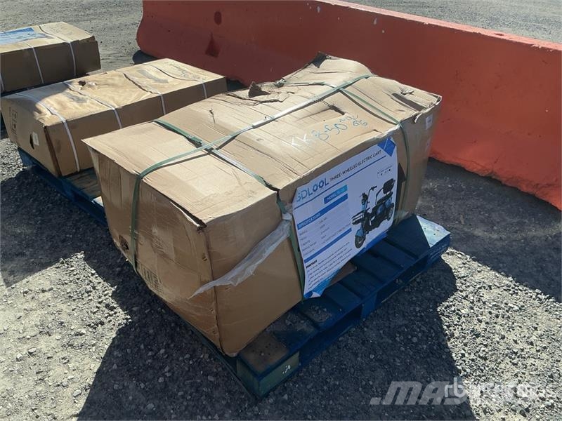 SDLOOL SL-D3 Electric Trike (Unused) 汽车
