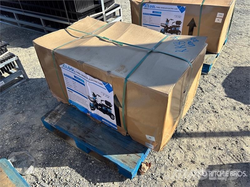 SDLOOL SL-D3 Electric Trike (Unused) 汽车
