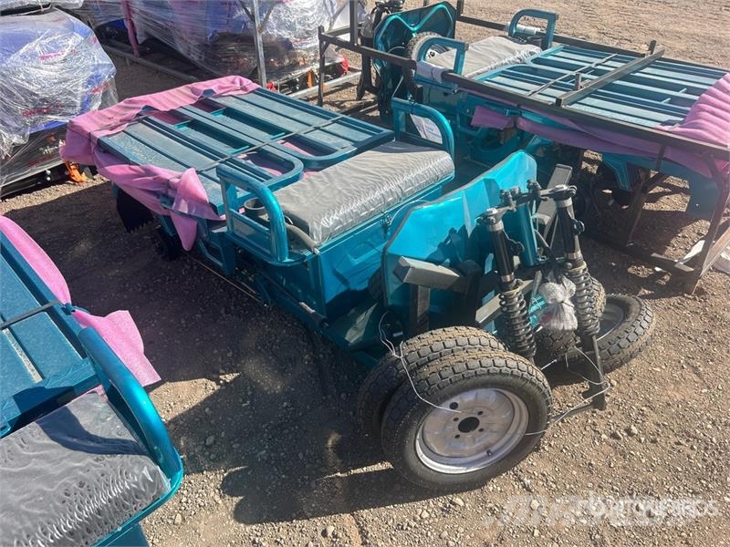  SDLOOL SL-EC15S Electric Trike (Unused) Auto
