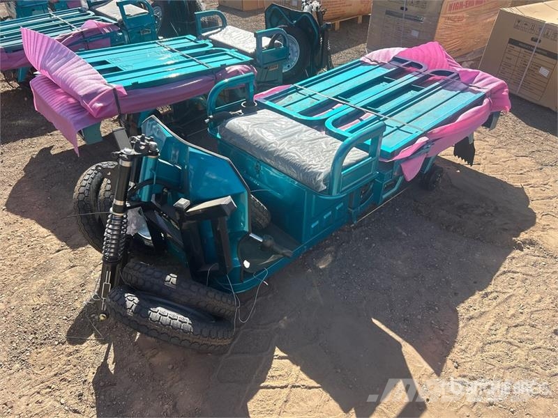  SDLOOL SL-EC15S Electric Trike (Unused) Auto