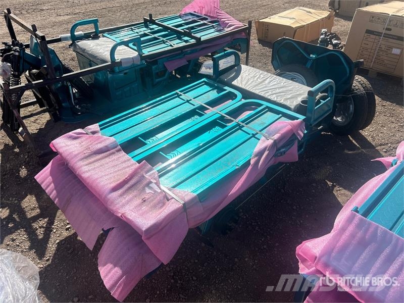  SDLOOL SL-EC15S Electric Trike (Unused) Auto