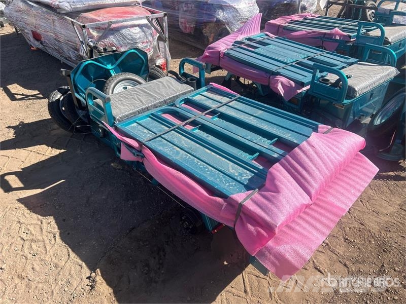  SDLOOL SL-EC15S Electric Trike (Unused) Auto