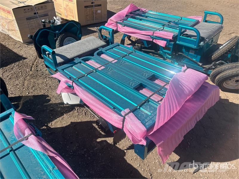  SDLOOL SL-EC15S Electric Trike (Unused) Auto
