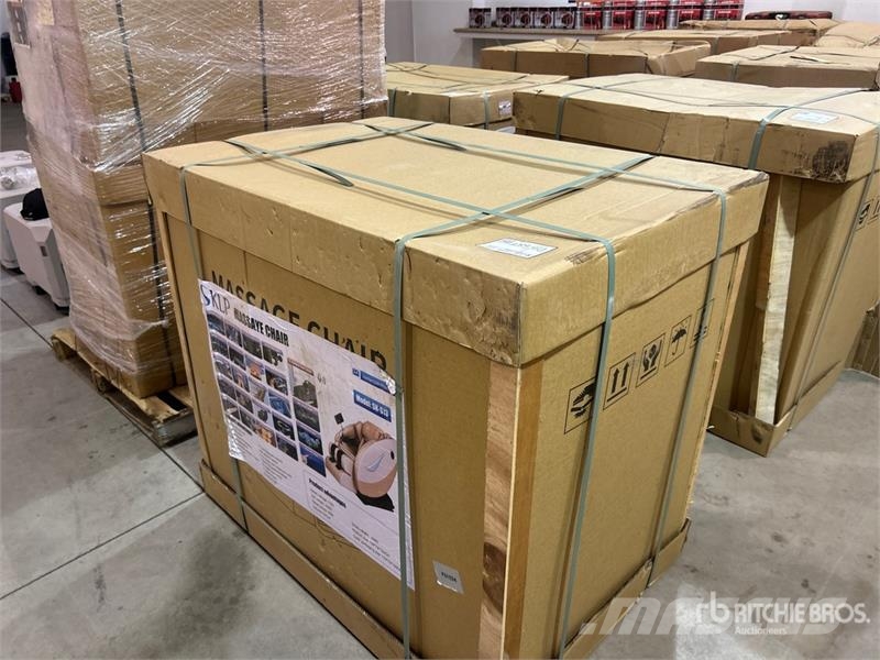 SKLP SK-S13 Massage Chair (Unused) Outros componentes