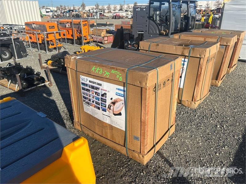 SKLP SK-S13 Massage Chair (Unused) 其他组件