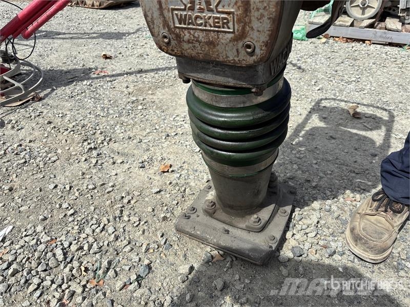 Wacker BS62Y Vibrocostipatore verticale
