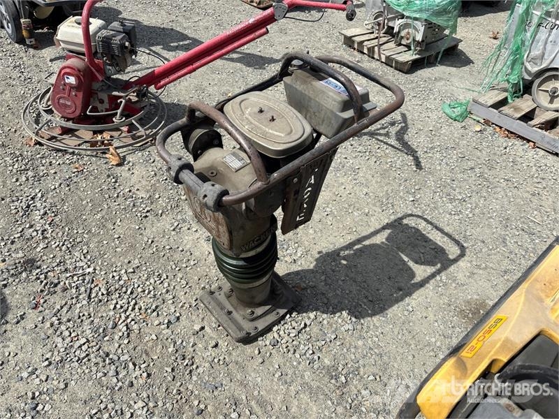 Wacker BS62Y Vibrocostipatore verticale