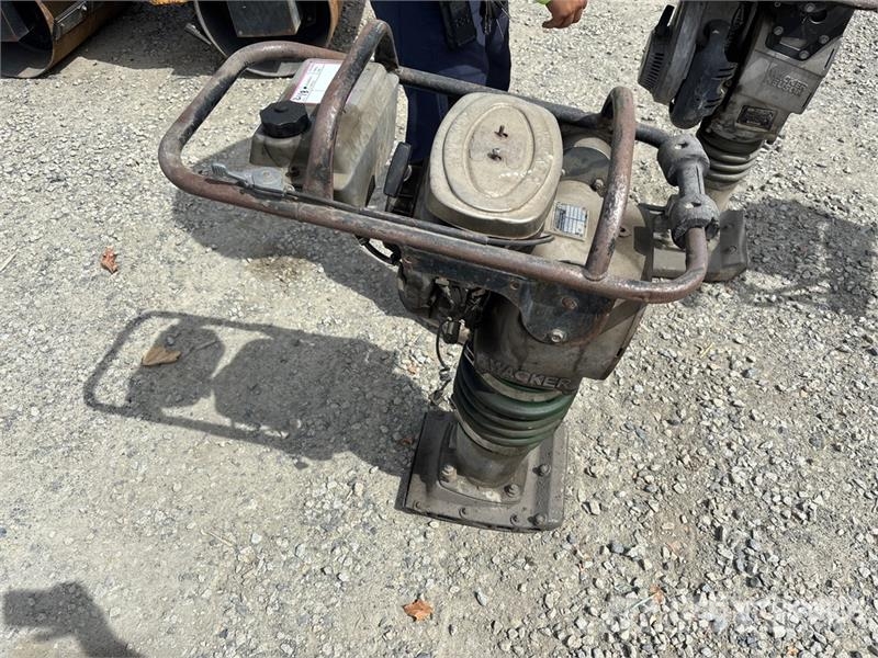 Wacker BS62Y Vibrocostipatore verticale