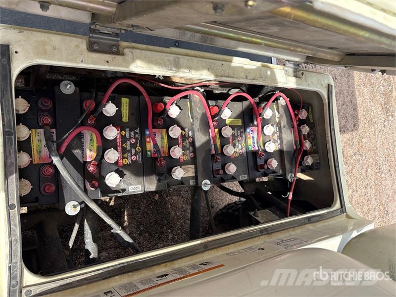 Yamaha Electric Golf Cart 高尔夫球车