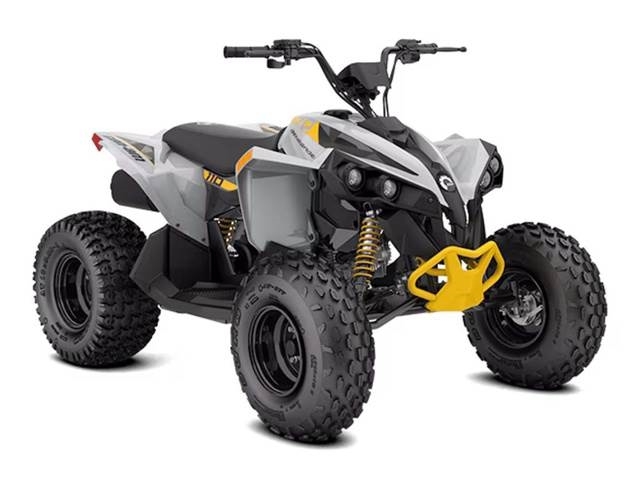 Can-am Renegade Terenska vozila