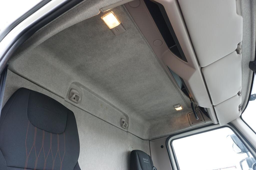 DAF / LF / 290 / E 6 / FIRANKA + WINDA / ŁAD. 9 970 KG Lastbil - Gardin