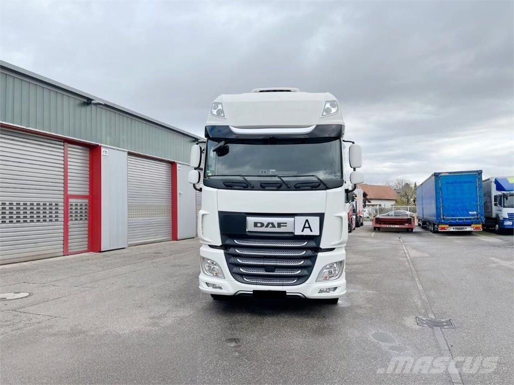 DAF XF 480 / SSC Camion benne