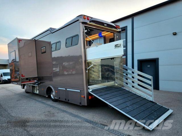 MAN TGL WMS Pferdetransporter Wohnmobil 3 Pferde Camiones para transporte de animales