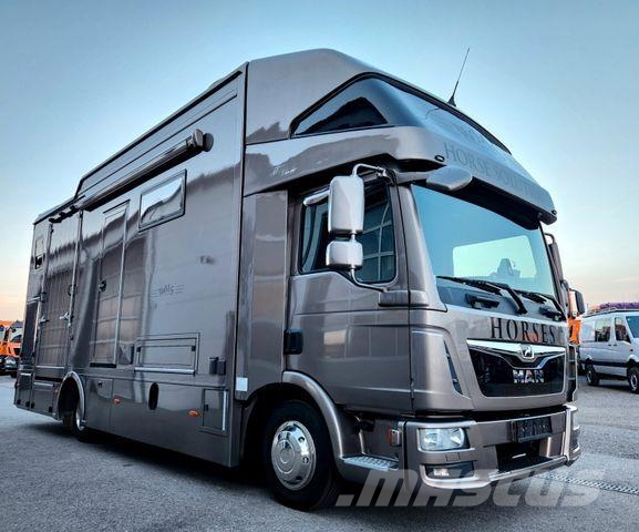 MAN TGL WMS Pferdetransporter Wohnmobil 3 Pferde Camiones para transporte de animales