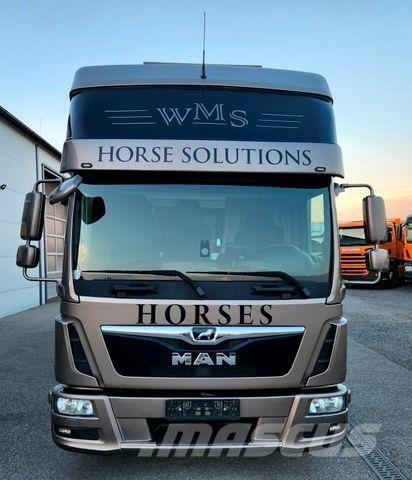 MAN TGL WMS Pferdetransporter Wohnmobil 3 Pferde Camiones para transporte de animales