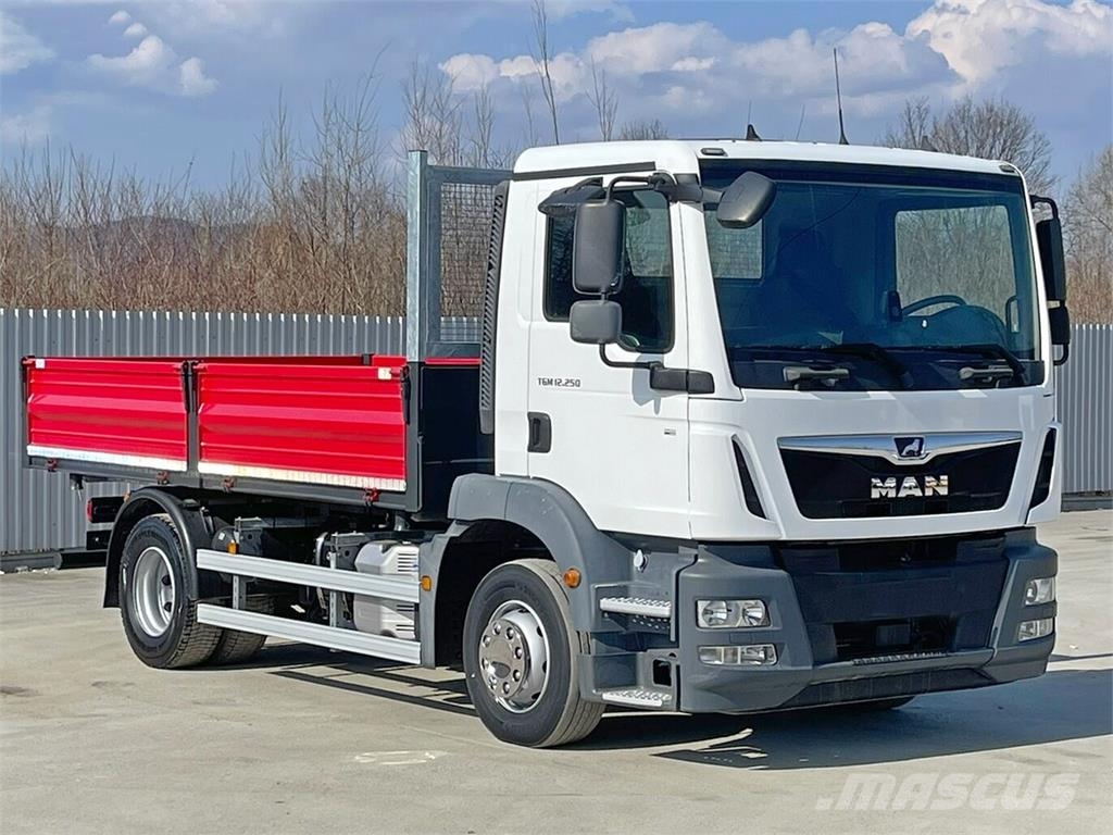MAN TGM 12.230 * TOPZUSTAND Camiões basculantes