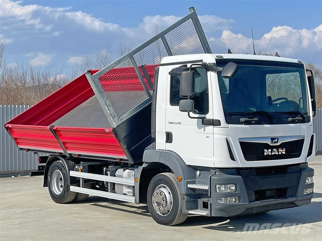 MAN TGM 12.230 * TOPZUSTAND Camiões basculantes