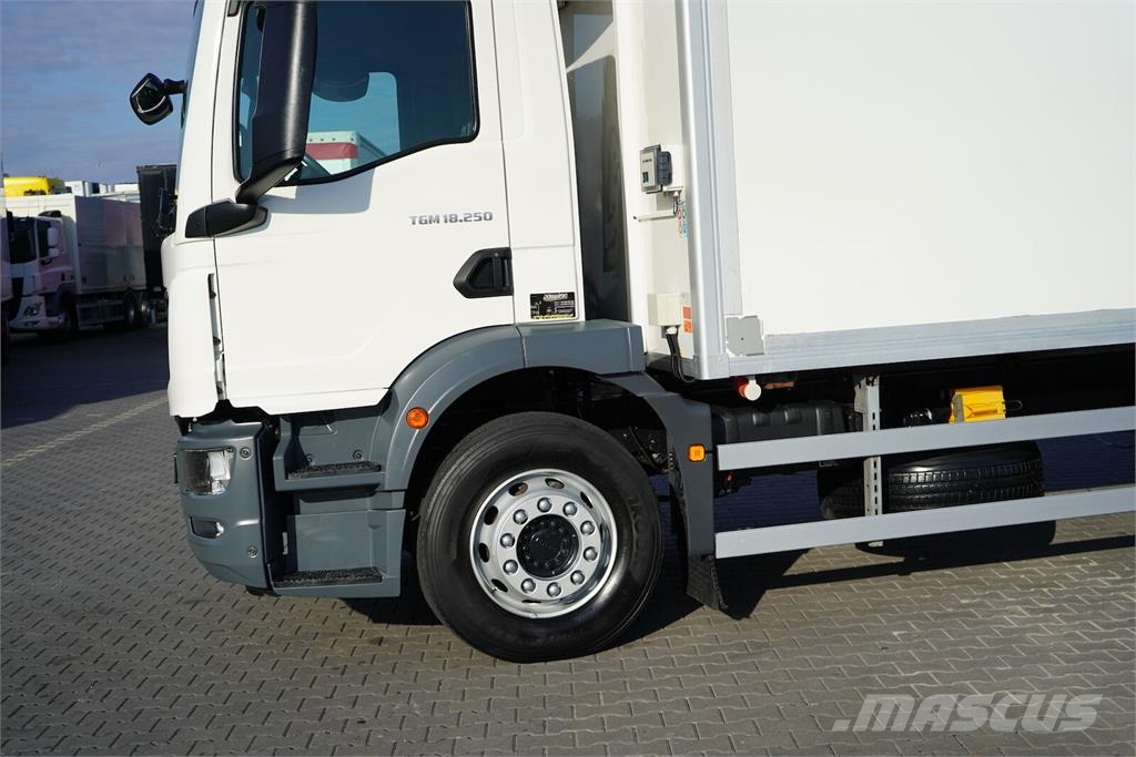 MAN TGM / 18.250 / ACC / EURO 6 / CHŁODNIA + WINDA / 1 شاحنات بدرجة حرارة قابلة للضبط