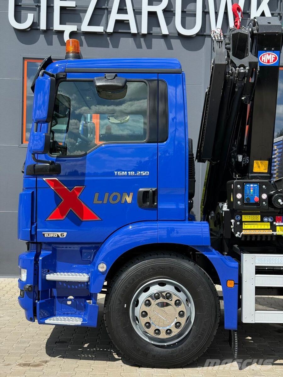 MAN TGM TGL TGS 18.250 Camiones plataforma
