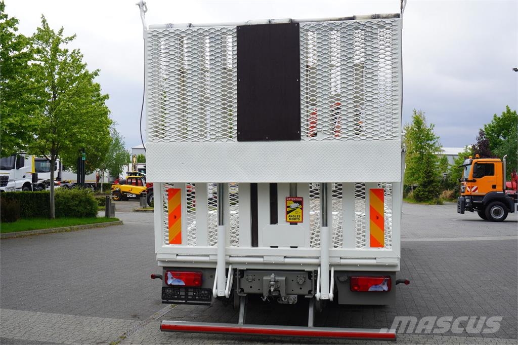 MAN TGS 35.360 8×2 / HDS FASSI F165A.2.22 crane / Remo Dvigala na gosenicah