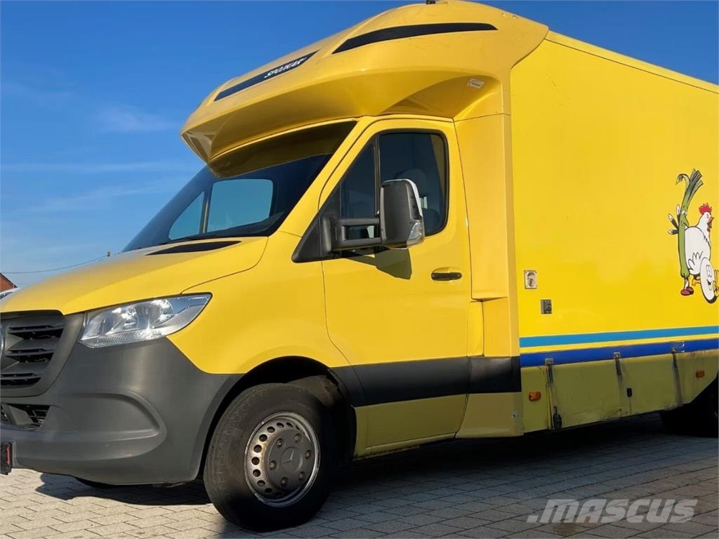 Mercedes-Benz Sprinter III 514 CDI / Sales Vehicle / Refrigerati Ostali kamioni