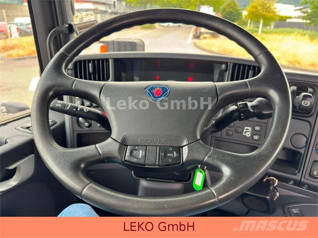 Scania P 310 Mit SchneePflugschild Camiones plataforma