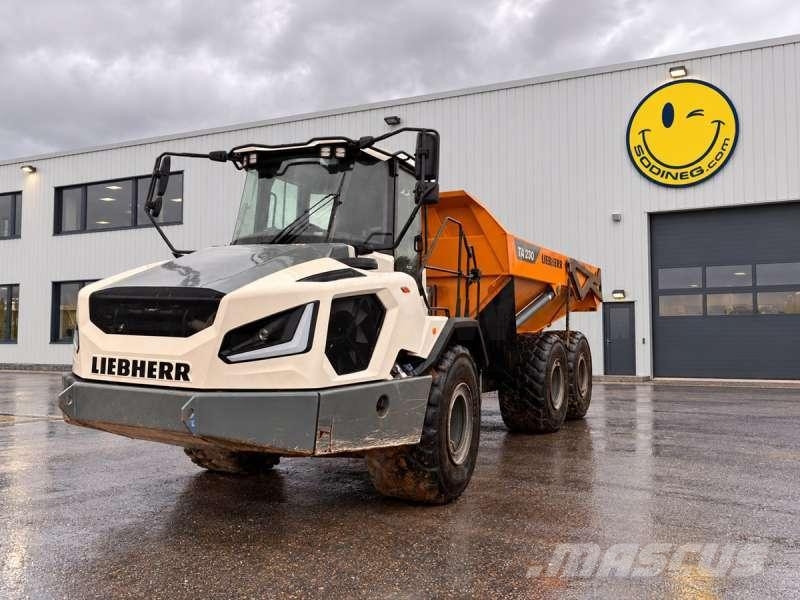 Liebherr TA 230 LITRONIC Dumper - Knickgelenk