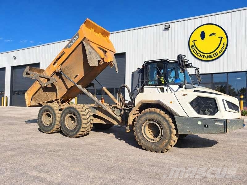 Liebherr TA 230 LITRONIC Dumper - Knickgelenk
