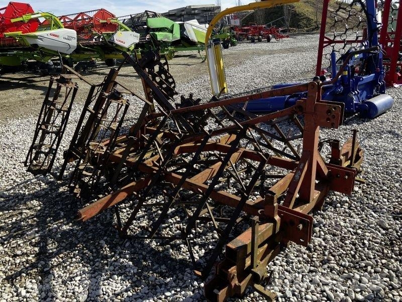 ACKEREGGE / FELDEGGE Grape