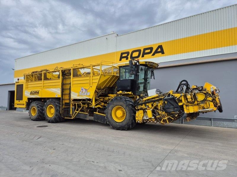 Ropa euro-Tiger V8-4b Rübenvollernter