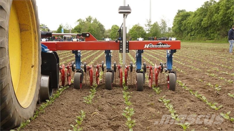 Hatzenbichler 12R6MF 50 cm - Roer/Raps/Spinat Sonstige Landmaschinen