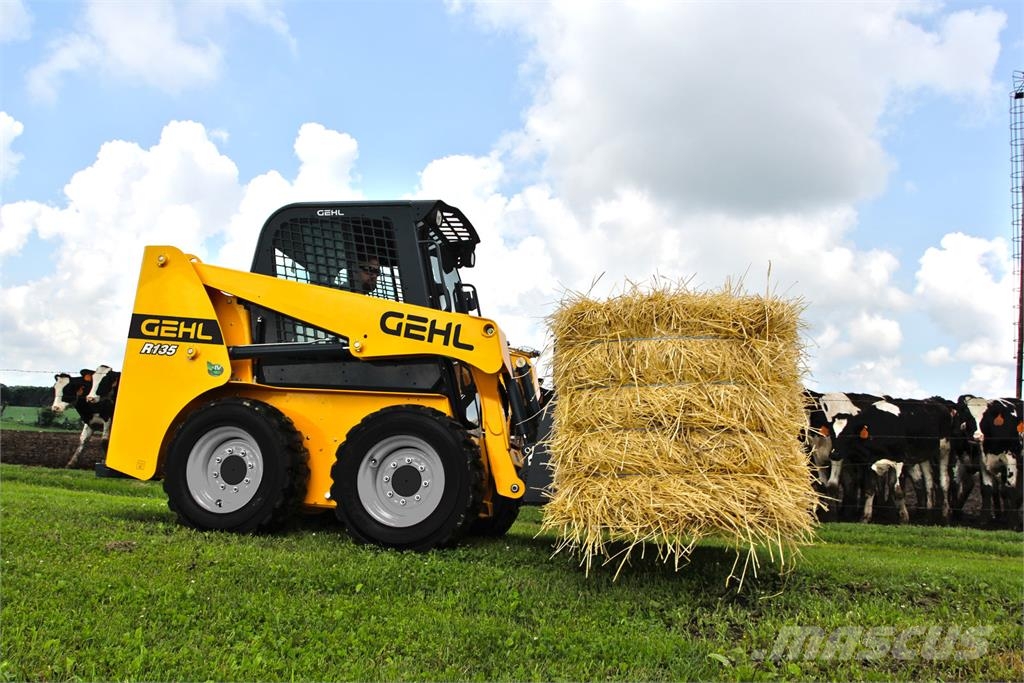Gehl R135GEN2 لوادر انزلاقية التوجيه