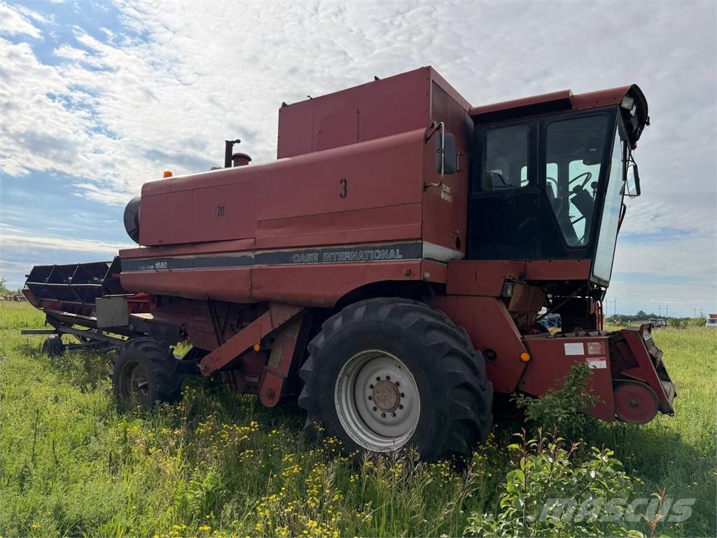 Case IH 1680 (1993) 联合收割机