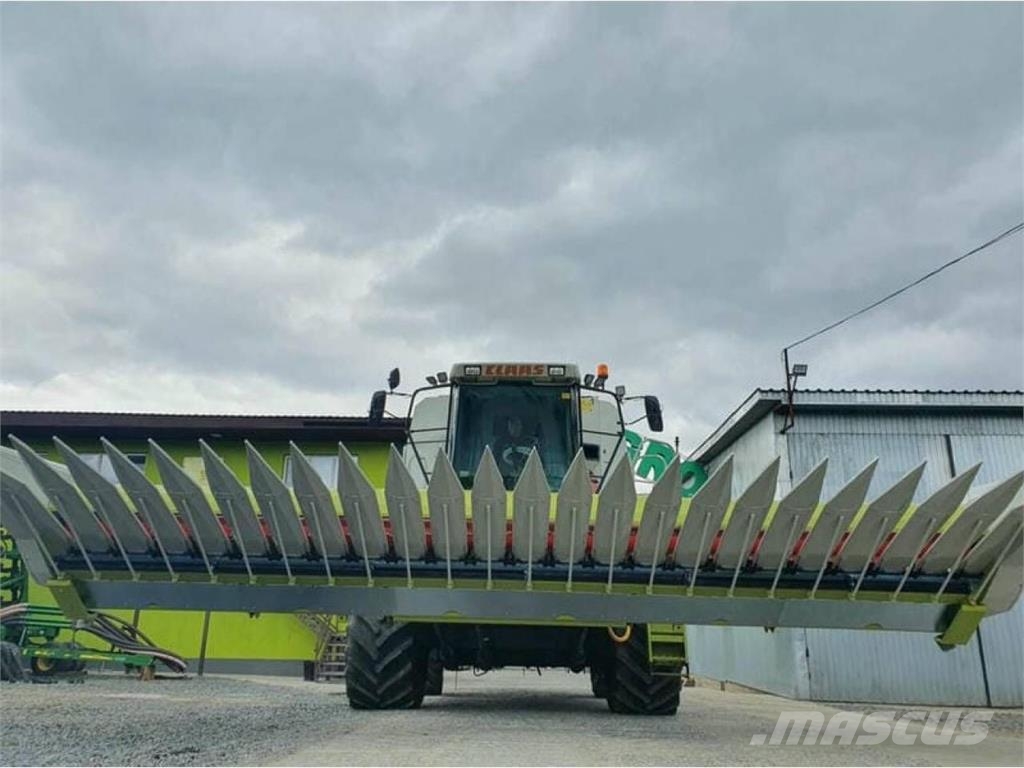 CLAAS Жатка Claas Sunspeed 12-70 Original (2019) Combine harvester heads